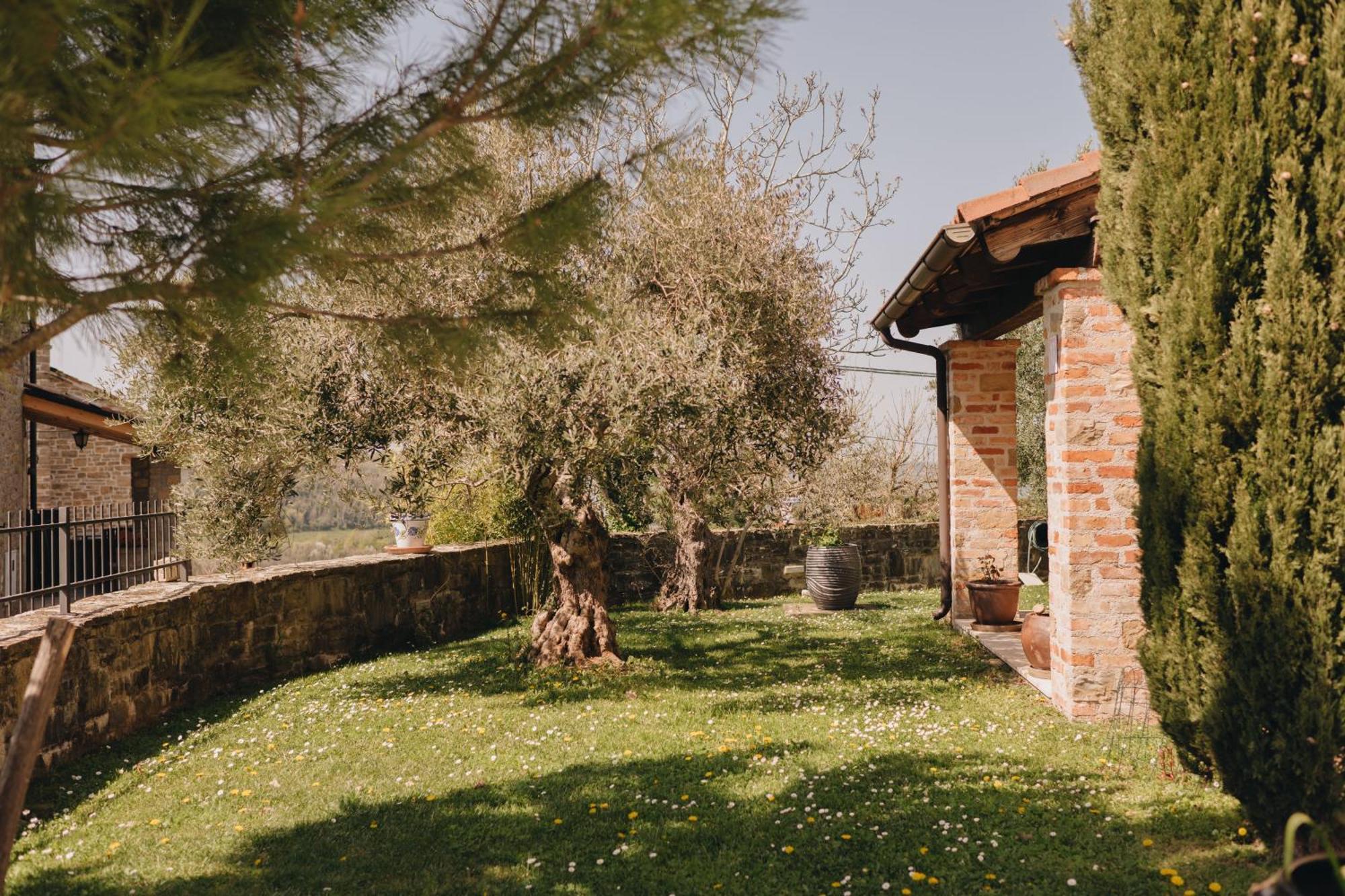 Dreamhill Meloni Villa Motovun Exterior photo