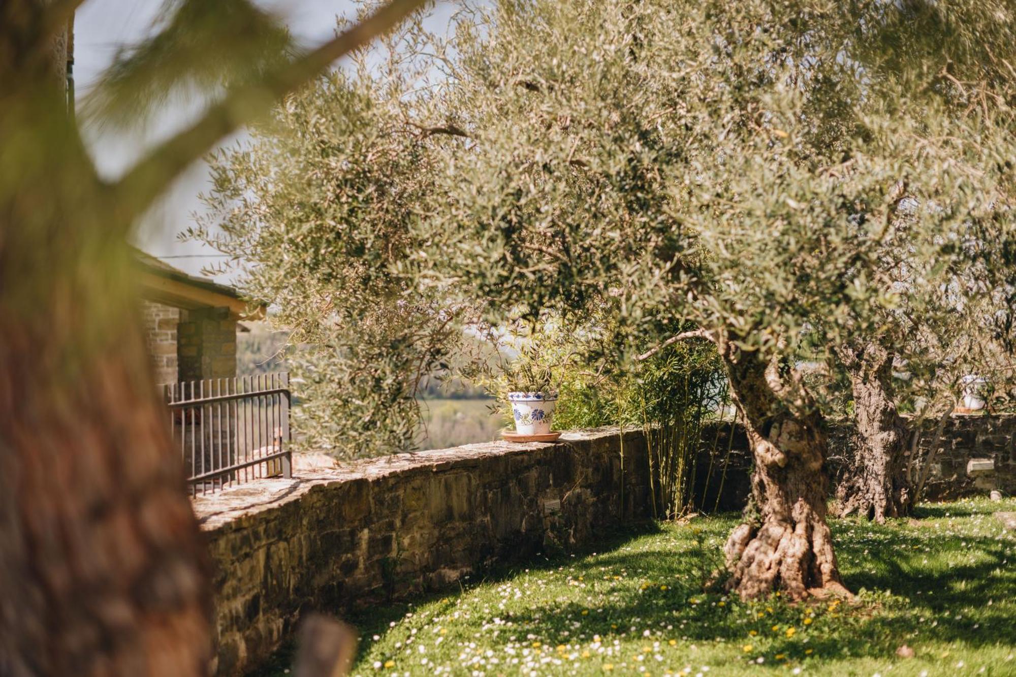 Dreamhill Meloni Villa Motovun Exterior photo